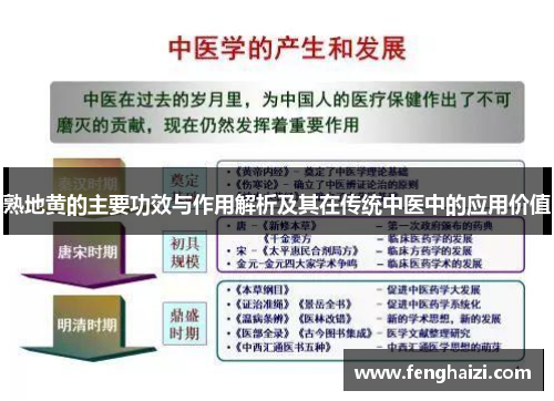 熟地黄的主要功效与作用解析及其在传统中医中的应用价值